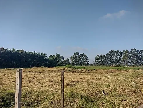 Terreno a Venda com Área de 5.010,36M² no Bairro Pedreiras — Navegantes/SC - Terreno em Pedreiras, Navegantes - Foto 3