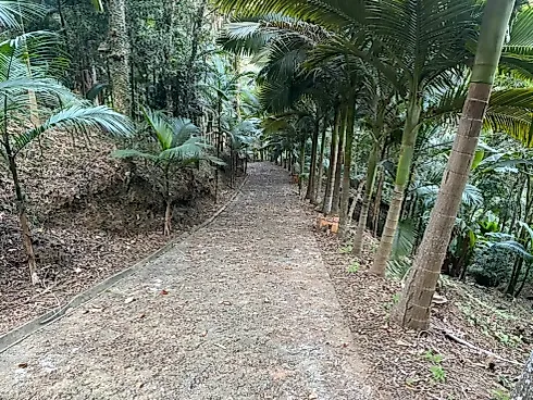 Chácara 52.000M² em Camboriú - Escritório/sala em Centro, Camboriú - Foto 1