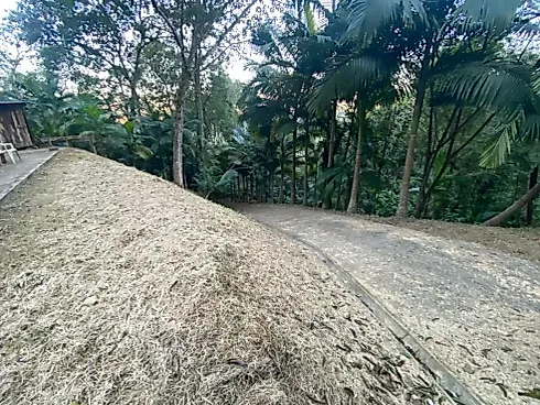 Chácara 52.000M² em Camboriú - Escritório/sala em Centro, Camboriú - Foto 5