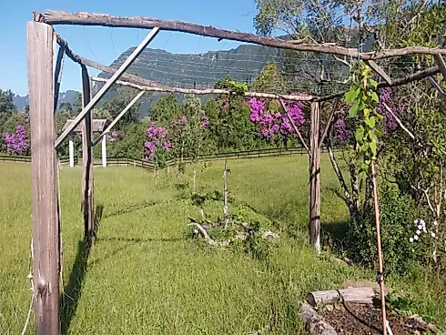 Terreno em Santa Barbara, Santa Rosa de Lima