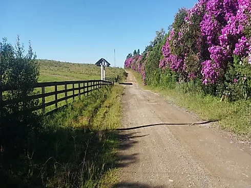Terreno em Santa Barbara, Santa Rosa de Lima