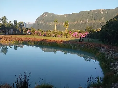Terreno Exclusivo  à Venda, 30.000 M2, Santa Rosa de Lima/SC - Foto 6