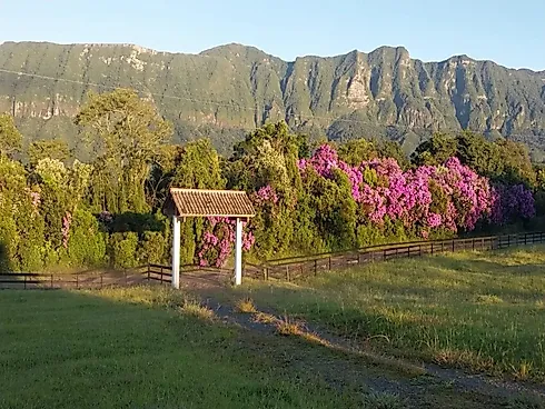 Terreno Exclusivo  à Venda, 30.000 M2, Santa Rosa de Lima/SC - Foto 7