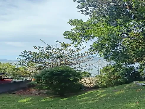 Casa 3 Quartos 110m² - Praia de Fora - Foto 10