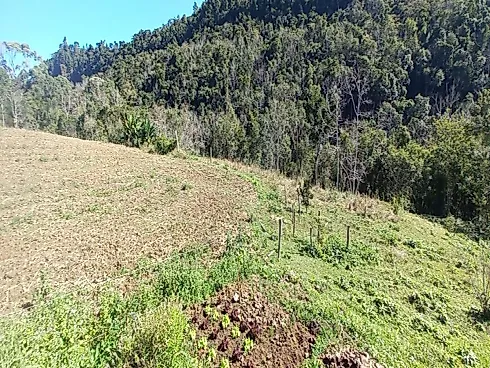 Sítio à Venda no Bairro Limeira, Alfredo Wagner - SC - Foto 11