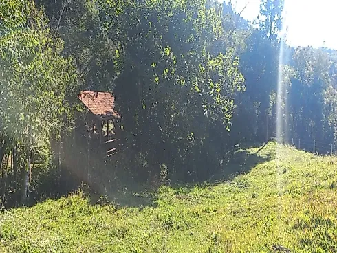 Sítio à Venda no Bairro Limeira, Alfredo Wagner - SC - Foto 15
