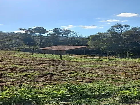 Sítio à Venda no Bairro Limeira, Alfredo Wagner - SC - Foto 18