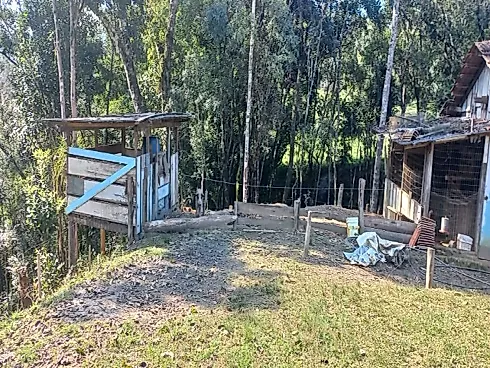 Sítio à Venda no Bairro Limeira, Alfredo Wagner - SC - Foto 20
