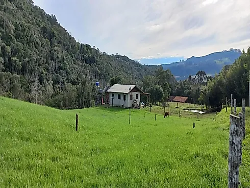 Sítio à Venda no Bairro Limeira, Alfredo Wagner - SC