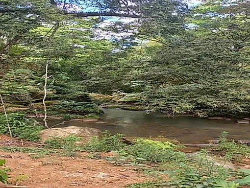 Sítio à Venda no Bairro Limeira, Alfredo Wagner - SC - Foto 4