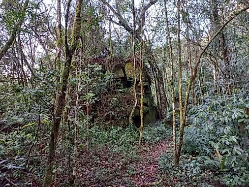 Sítio à Venda no Bairro Limeira, Alfredo Wagner - SC - Foto 6