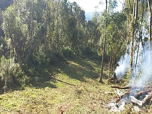 Sítio à Venda no Bairro Limeira, Alfredo Wagner - SC - Foto 8