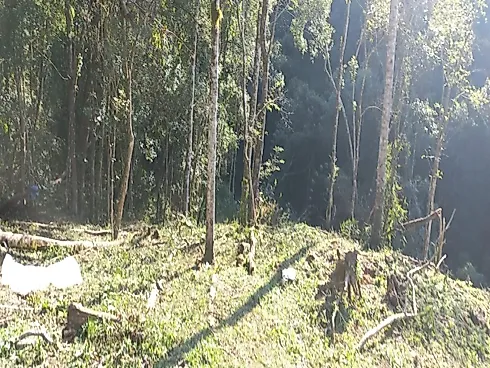 Sítio à Venda no Bairro Limeira, Alfredo Wagner - SC - Foto 9