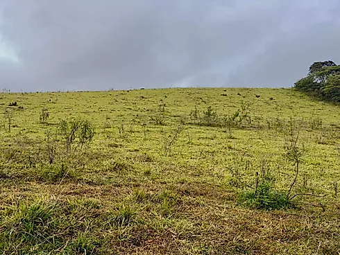 Terreno em Centro, Alfredo Wagner