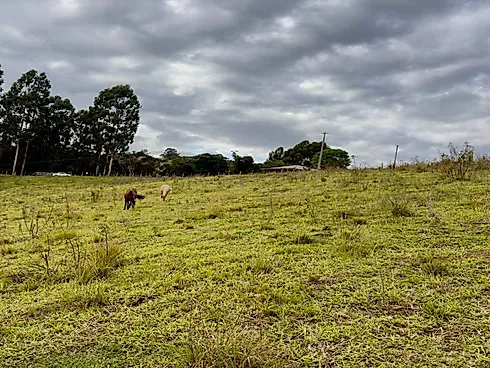 Terreno em Centro, Alfredo Wagner