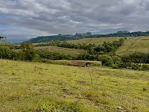 Terreno 15000m² - Centro - Foto 6