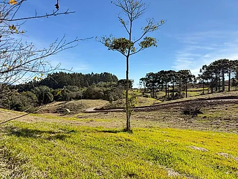Terreno 20000m² - Santa Bárbara-  Alfredo Wagner - Foto 6