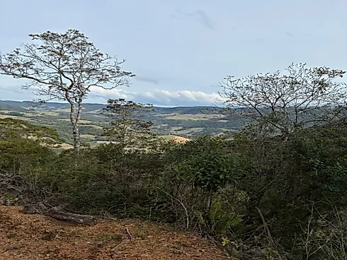 Sítio à  em Picadas, Alfredo Wagner/SC, com 8 Nascentes - Foto 2
