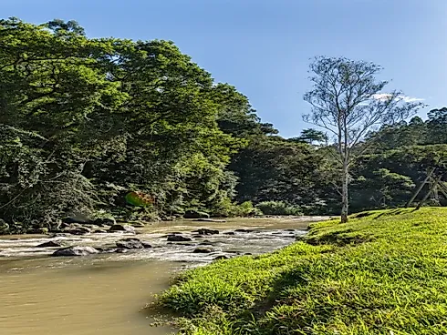 Chalé - 50m², Vargem do Cedro - Foto 13