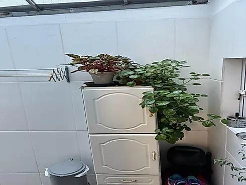 Apartamento 2 Quartos com 1 Suíte e 90m² - Ingleses do Rio Vermelho - Foto 31