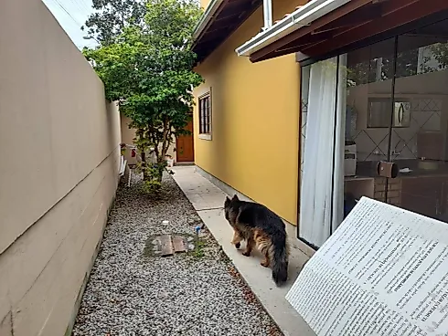 Casa 3 Quartos com Churrasqueira  - São João do Rio Vermelho - Foto 8