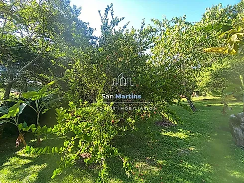 Sítio 27000m² com Piscina no Anúncio - Ratones - Foto 13