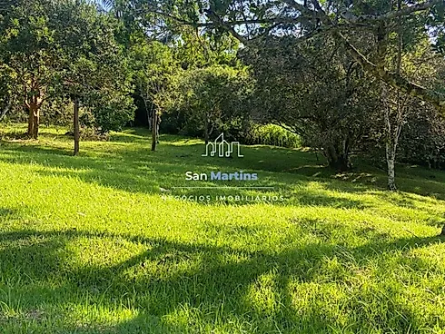 Sítio 27000m² com Piscina no Anúncio - Ratones - Foto 28