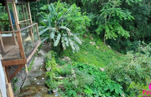 Casa Tropical em Florianopolis - Foto 14