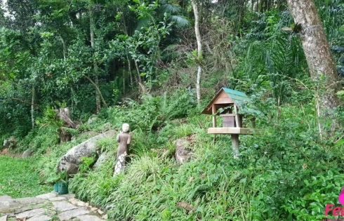 Casa Tropical em Florianopolis - Foto 18