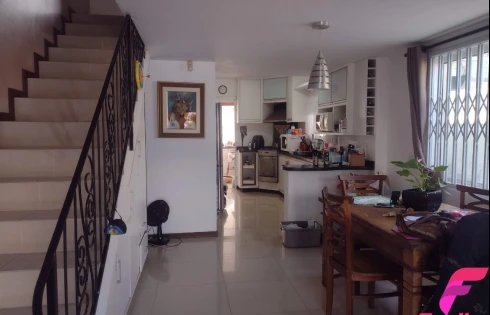Campeche, Florianópolis