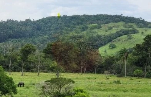 Casa em Vargem Grande, Florianópolis