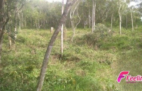 Terreno em João Paulo, Florianópolis