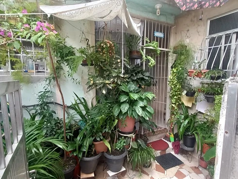 Casa em Penha Circular, Rio de Janeiro