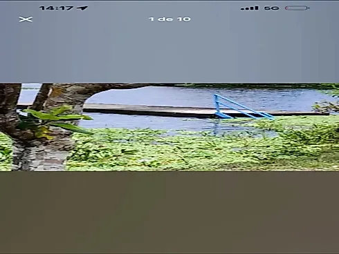 Venda Terreno a Margem Rio do Taruma Acu / Vivenda Verde - Terreno em Tarumã-Açu, Manaus - Foto 3