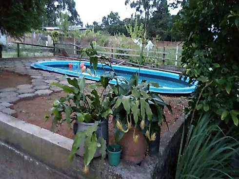 Casa 3 Dormitórios no Bairro Santa Rita - Sítio em Santa Rita, Guaiba - Foto 2