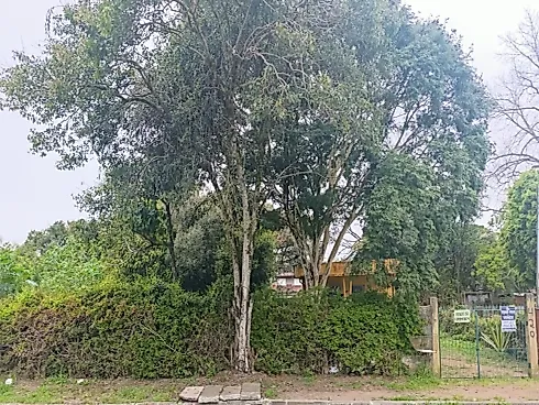 Terreno Bairro Alegria - Terreno em Alegria, Guaiba - Foto 3