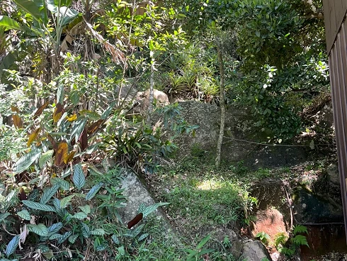 Terreno em Enseada de Brito