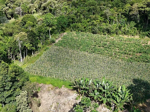 Terreno em Canto dos Thiesen, Aguas Mornas