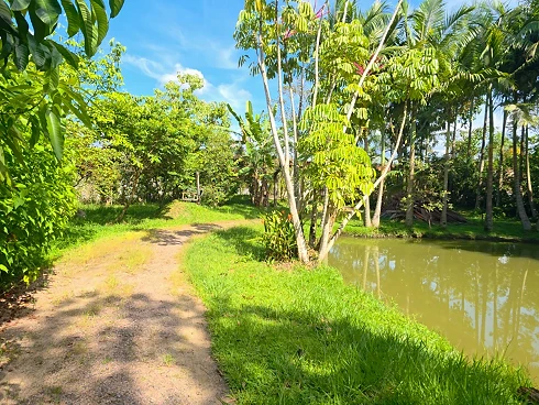 Sítio em Sul do Rio, Santo Amaro da Imperatriz