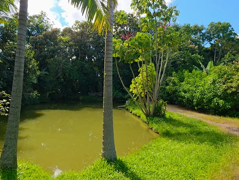 Sítio em Sul do Rio, Santo Amaro da Imperatriz