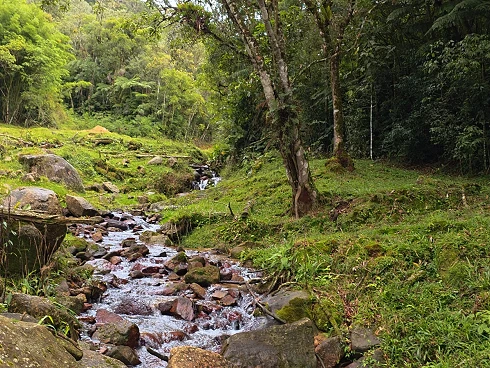 Sítio em Área Rural, Águas Mornas