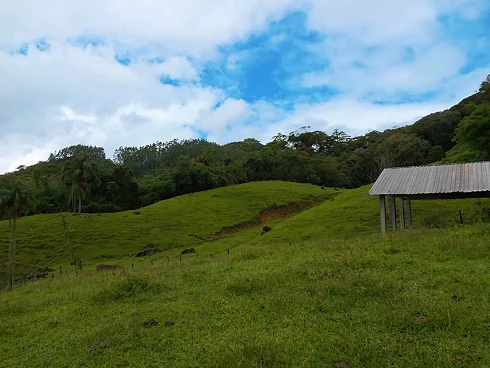 Sítio em Área Rural, Águas Mornas