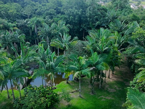 Sítio em SertÃo, Santo Amaro da Imperatriz