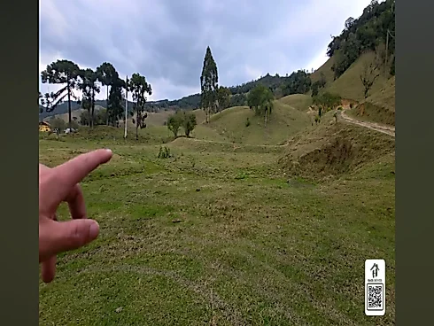 Thumbnail 28