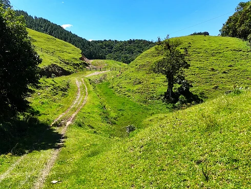 Sítio em Área Rural, Águas Mornas