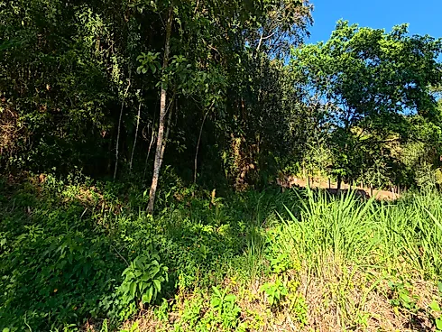 Terreno em Vargem Grande, Águas Mornas