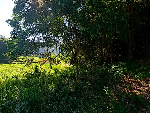 Terreno em Vargem Grande, Águas Mornas