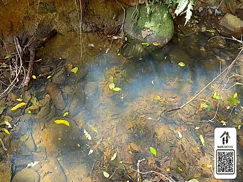 Sítio em Área Rural, Santo Amaro da Imperatriz