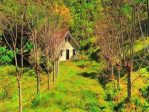 Sítio em Área Rural, Águas Mornas