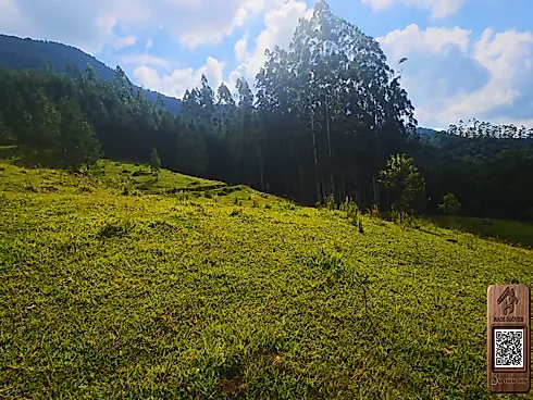 Thumbnail 36
